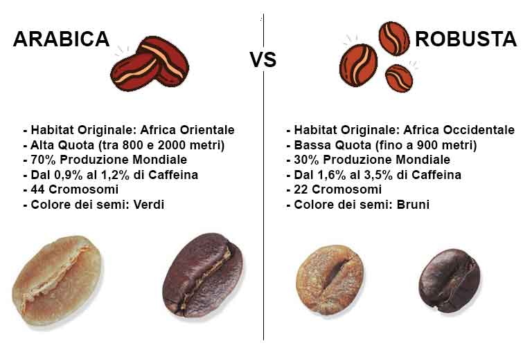 Differenza tra Arabica e Robusta - Corriere del Bar