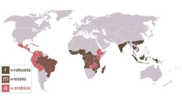 Produzione Mondiale di Caffè - Corriere del Bar