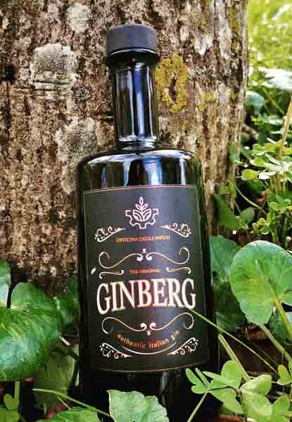 Gingberg - Corriere Del Bar